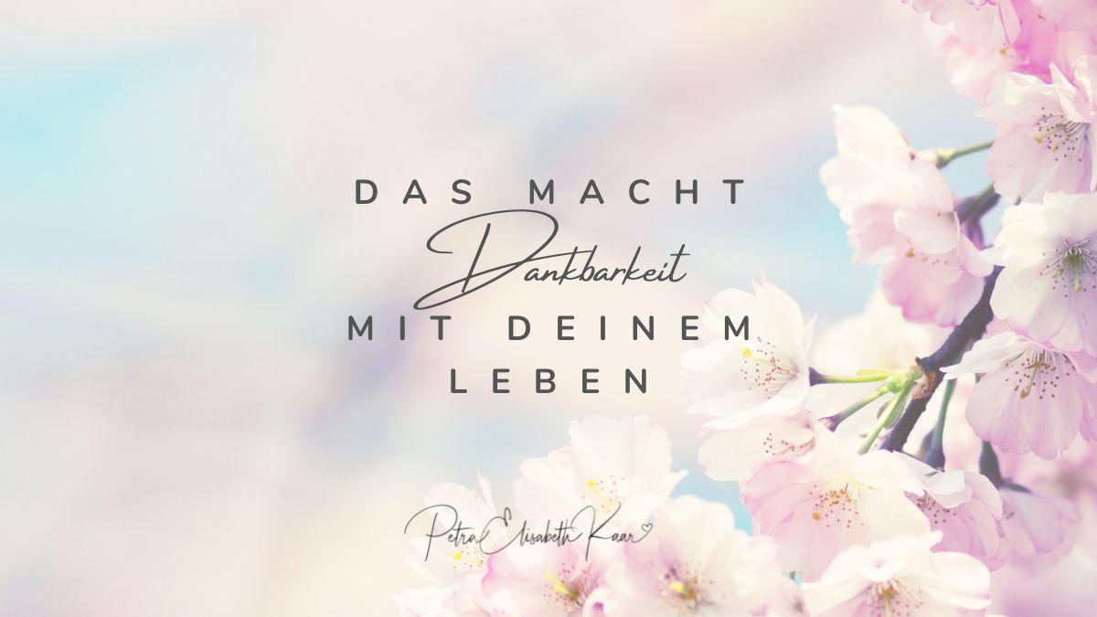 Dankbarkeit: wie du mit ihr dein Leben maßgeblich verbesserst